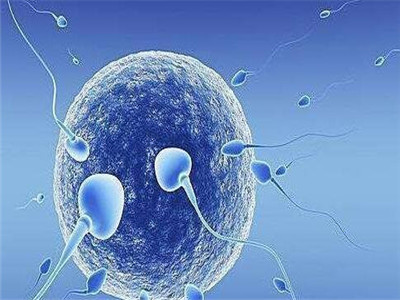 包生男孩第三代试管
